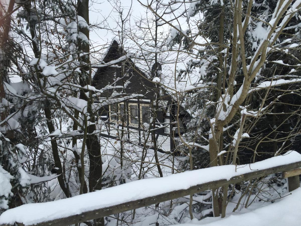 Ferienhaus Sauerlandtraum Winterberg Buitenkant foto